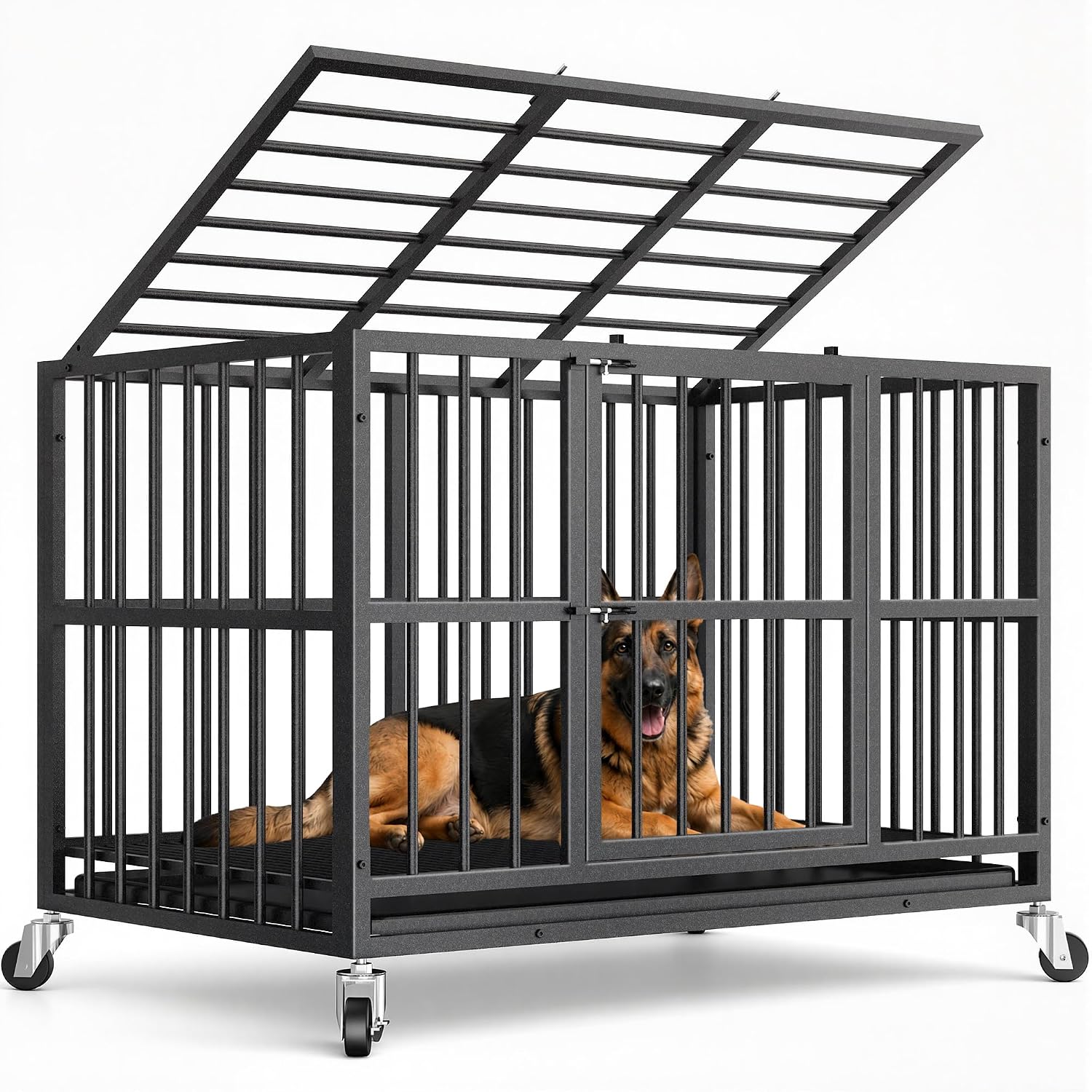 Pet Haven